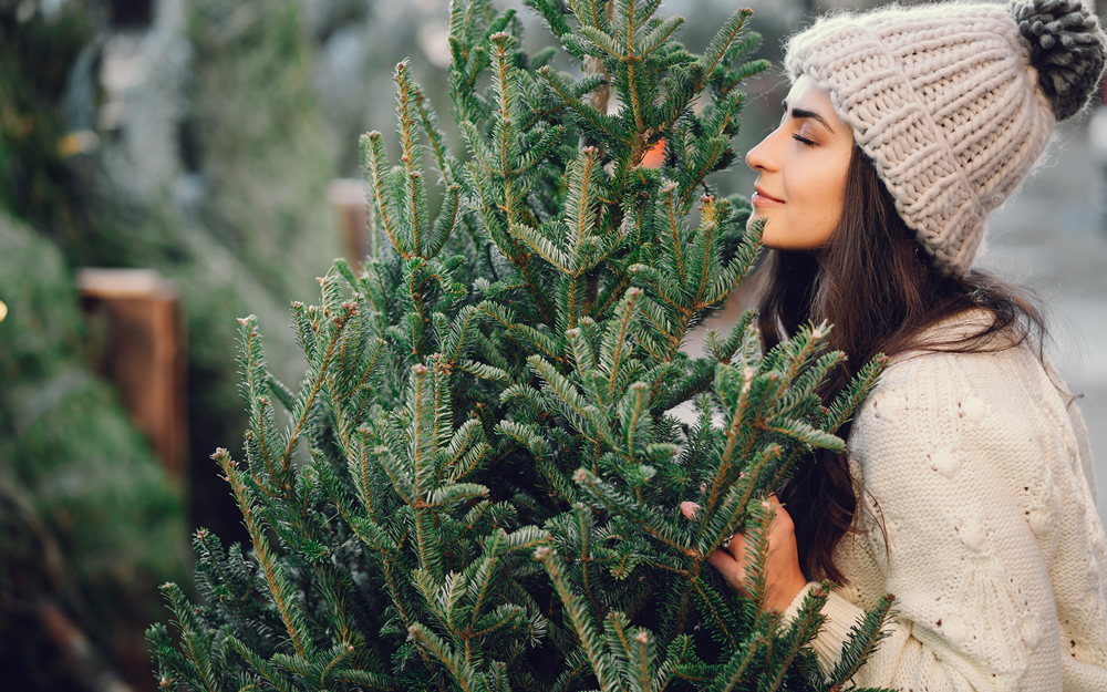 Eco-Friendly Christmas tree