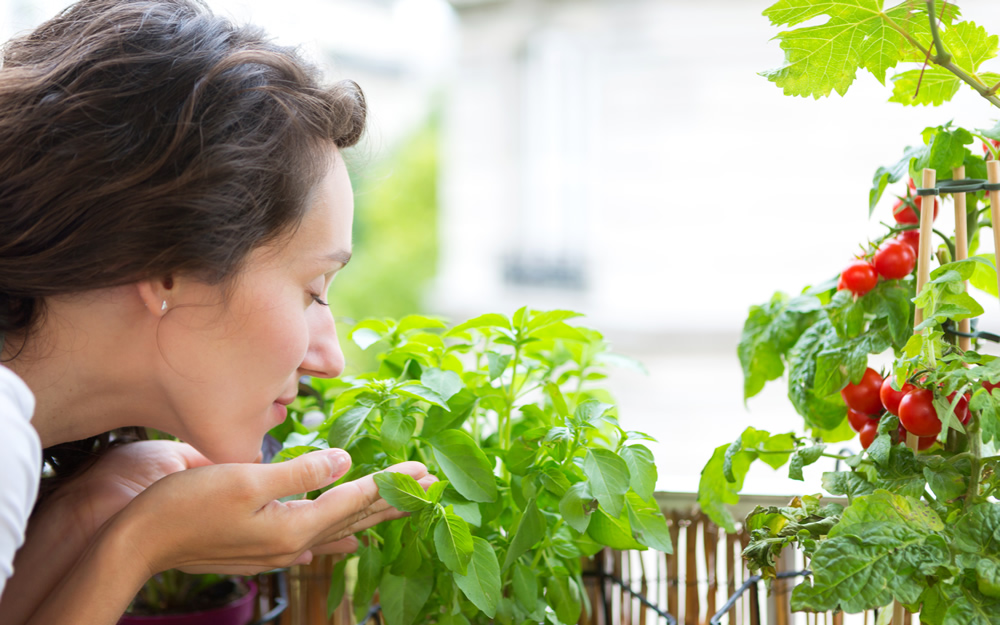 Urban farming